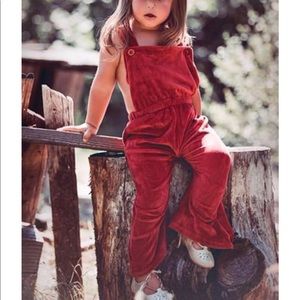 Baby Girl Velour Jumpsuit